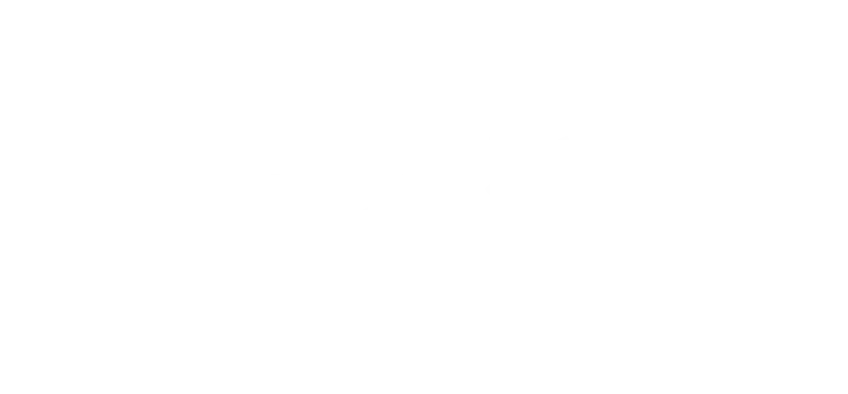 partners-bdc-01